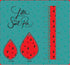 5090 - Watermelon Mixed Bundle